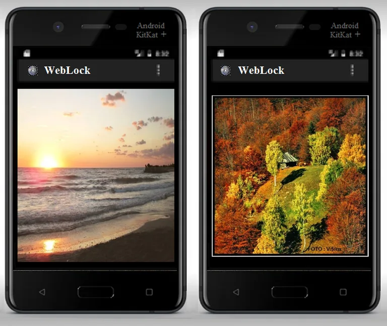 WebLock reminder screenshot 13