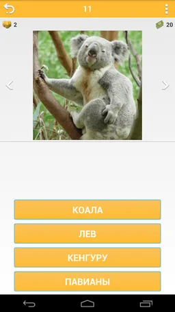 Guess Animal screenshot 5