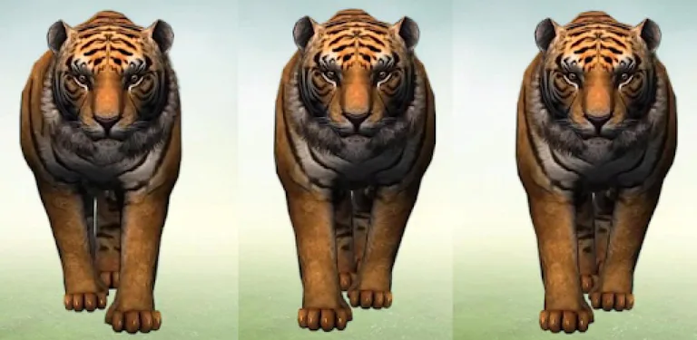 Tiger HD Live Wallpaper cover image
