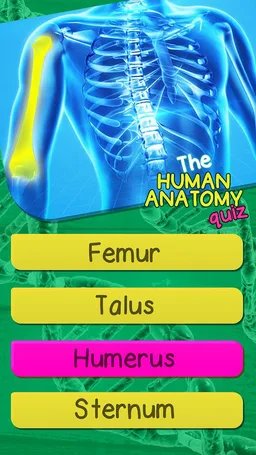 The Human Anatomy Quiz App On Human Body Organs screenshot 3
