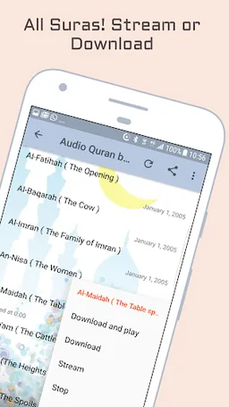 Audio Quran by Abdul Basit screenshot 6