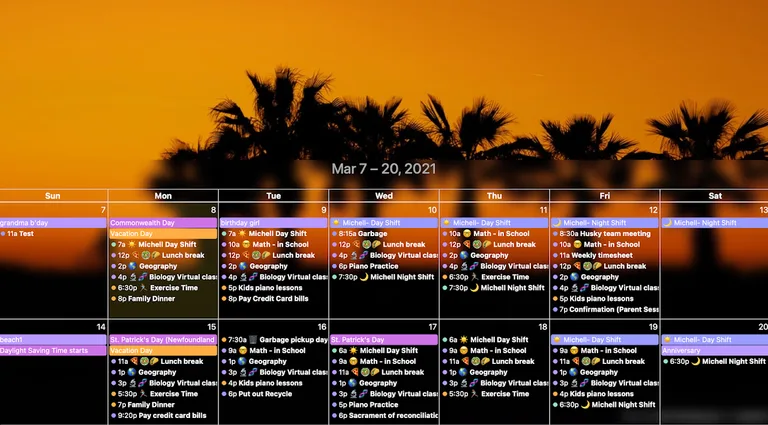 Mango Display screenshot 5