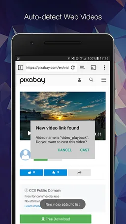 EZ Web Video Cast | Chromecast screenshot 2