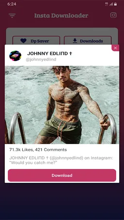 InstaSave - Instagram Video Downloader screenshot 1
