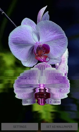 Purple Orchid Flower LWP screenshot 1