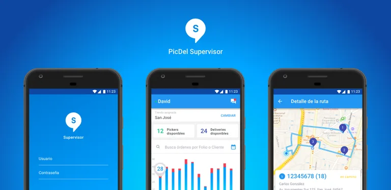 PicDel Supervisor cover image