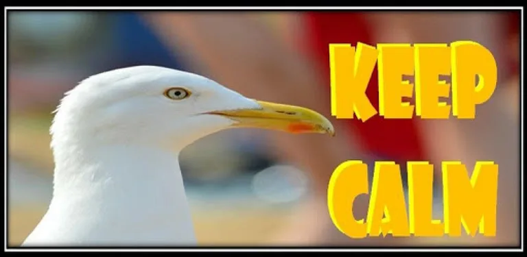 Keep Calm cover image