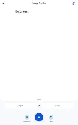 Google Translate screenshot 13