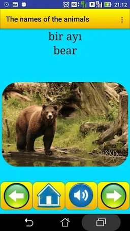 Animal names in Turkish screenshot 1