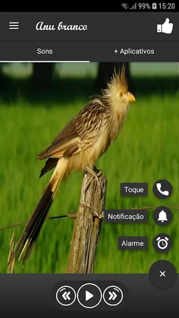 white anu screenshot 2