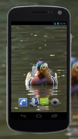 4K Colorful Ducks Video Live Wallpaper screenshot 3