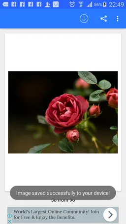 Romance and Love Photos screenshot 9