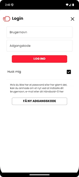 Handball screenshot 6