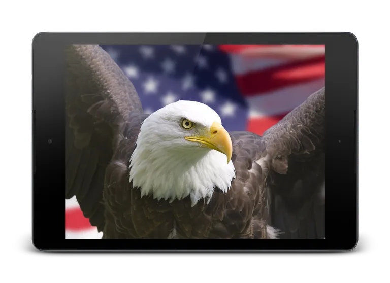 Flag of USA Live Wallpaper screenshot 9