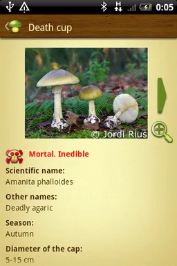 Mushroom - Mushtool screenshot 3