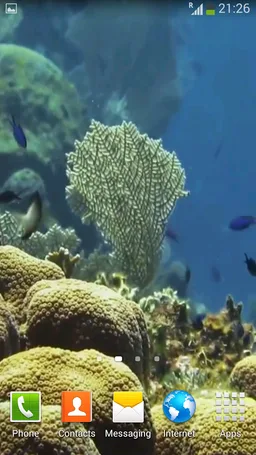 Sea Life Video Wallpapers screenshot 1