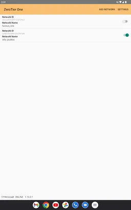 ZeroTier One screenshot 7