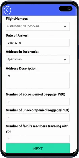 e-CD (Customs Declaration) screenshot 8