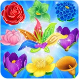 Blossom Story icon