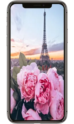 Rose Paris Lock Screen, eiffel tower Wallpapers HD screenshot 2