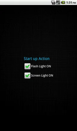 Flash Light Torch screenshot 2