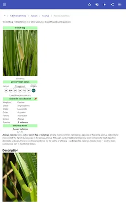 Medicinal herbs screenshot 8