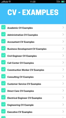 CV Examples 2021 screenshot 4