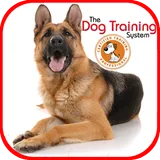 Dog Training icon
