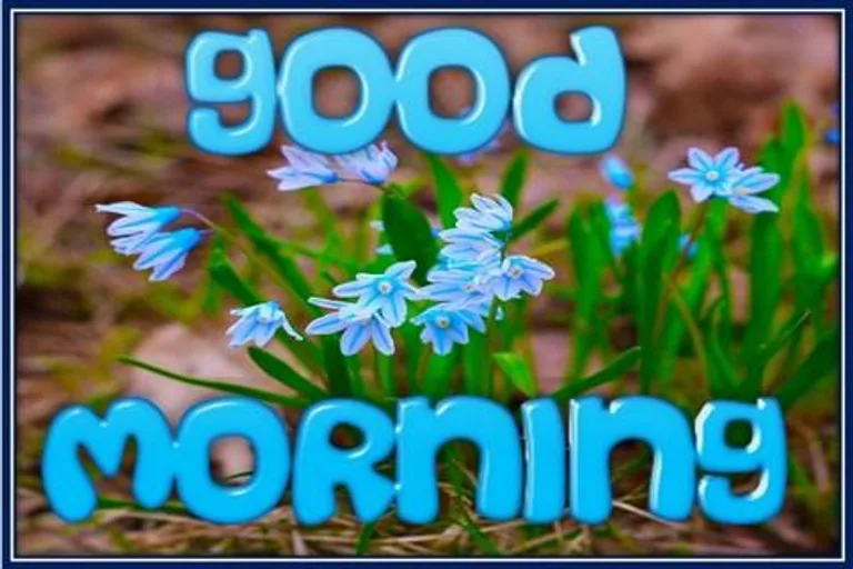 Good Morning Everyday screenshot 1