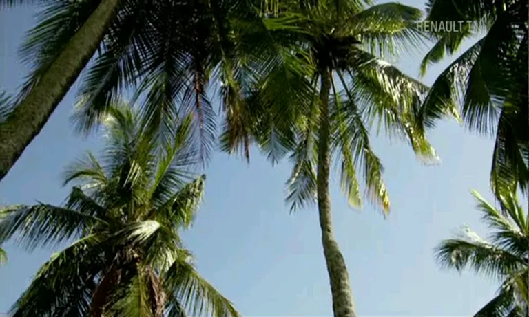 Watch TV Live Television screenshot 6