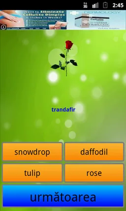 Invata engleza screenshot 8