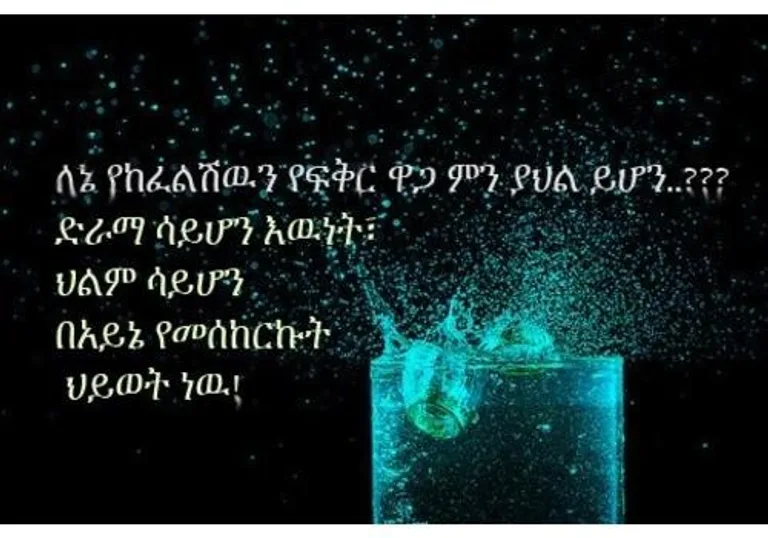 እኔና አንቺ 2 - Ethiopian Couples Romance 2 screenshot 5