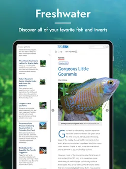 Tropical Fish Hobbyist screenshot 10