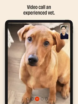 FirstVet - Your video vet screenshot 4