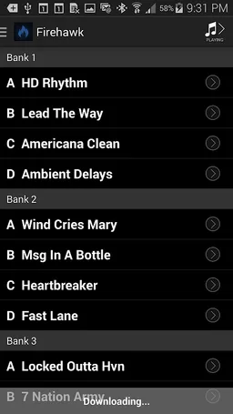 Firehawk Remote screenshot 4
