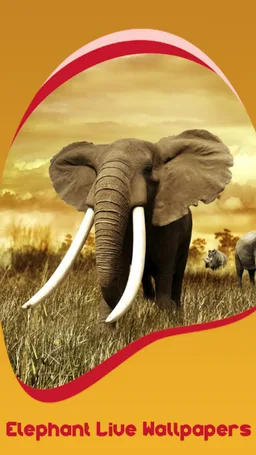 Elephant Live Wallpapers screenshot 1