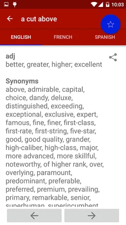Offline Thesaurus Dictionary Pro screenshot 2