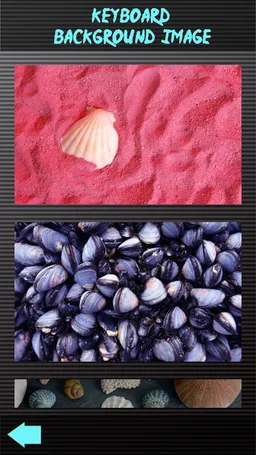 Shell Keyboards screenshot 3