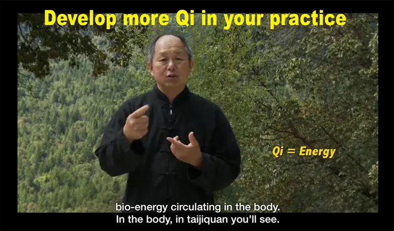 Yang Tai Chi for Beginners 1 b screenshot 5