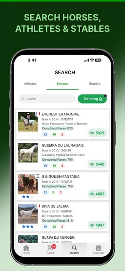 Yamamah screenshot 5