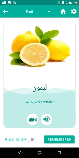 Malayalam Arabic Translator screenshot 7