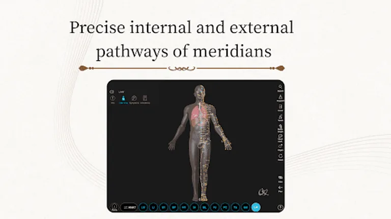 Acupuncture Master screenshot 14