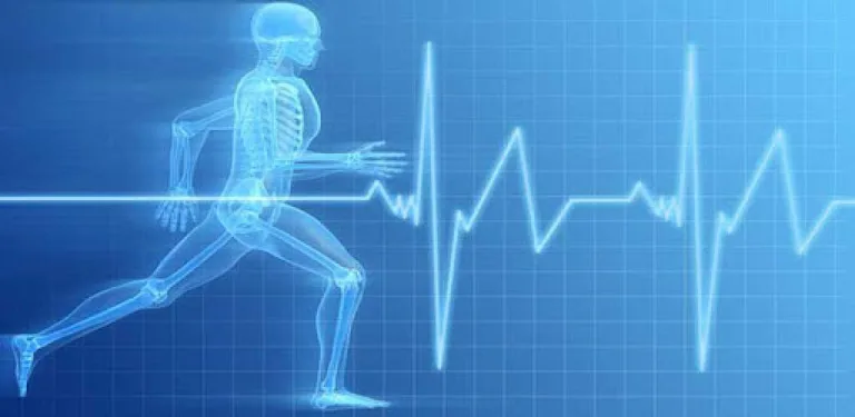 Health Control cover image