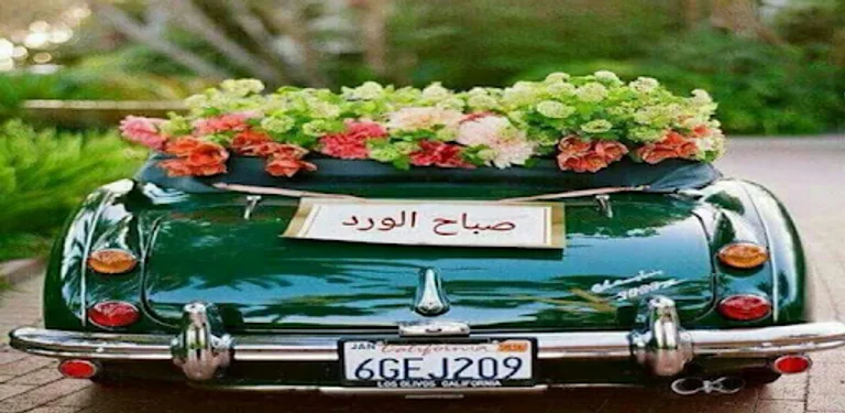 صور صباح و مساء الخير متحركة cover image