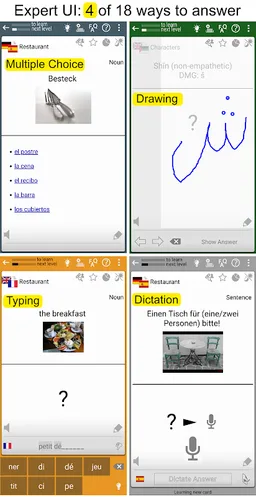 Memorion Flashcard Learning screenshot 5