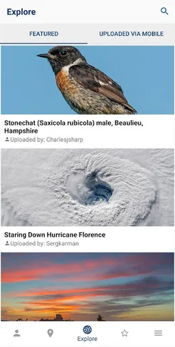 Wikimedia Commons screenshot 5