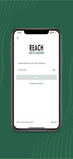 Reach screenshot 2