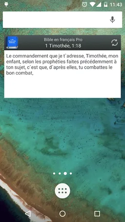 Bible Louis Segond PRO screenshot 5