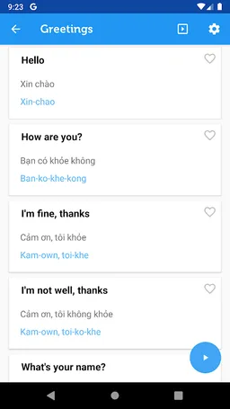 Learn Vietnamese Phrasebook screenshot 2