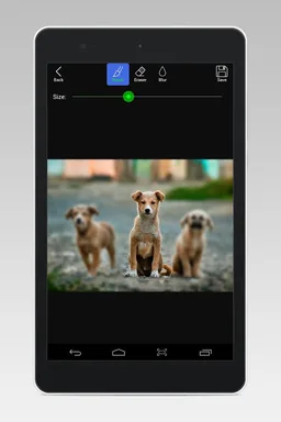 DSLR Camera Effect Maker screenshot 8